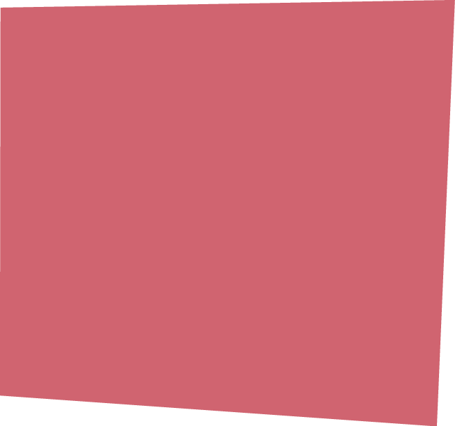 Polygon