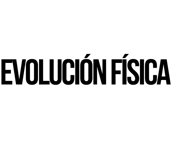 Evolución física