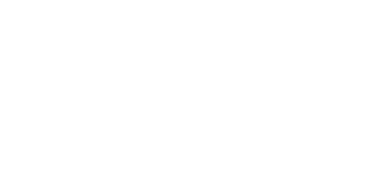 JON ANDER ALBISU