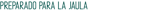 Preparado para la jaula